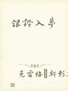 银铃入梦封面