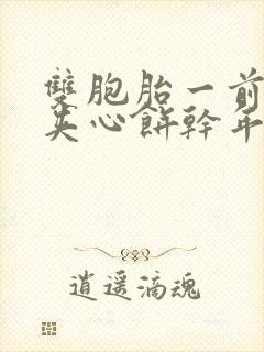 双胞胎一前一后夹心饼干年下