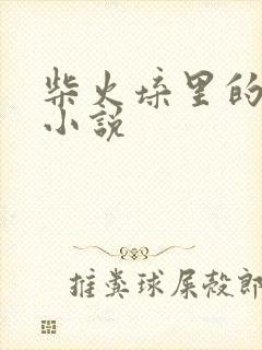 柴火垛里的疯狂小说