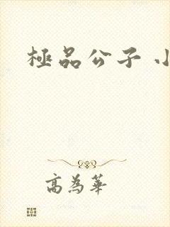极品公子 小说