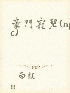 豪门宠儿(npc)