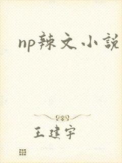np辣文小说
