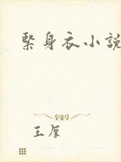 紧身衣小说封面