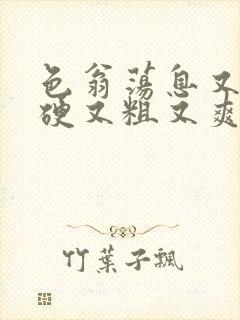 色翁荡息又大又硬又粗又爽