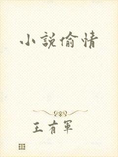 小说偷情