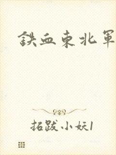 铁血东北军