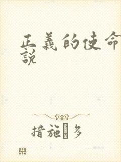 正义的使命 小说