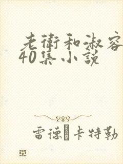 老卫和淑容1-40集小说封面