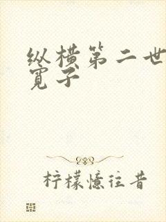 纵横第二世界 宽子