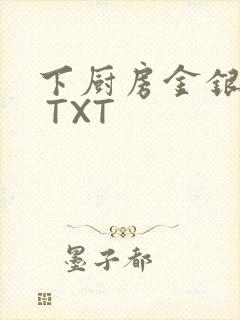 下厨房金银花露 TXT封面