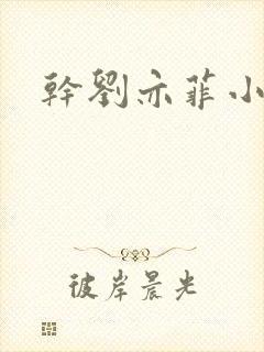 干刘亦菲小说