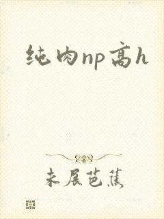 纯肉np高h封面