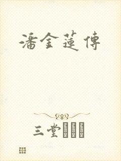潘金莲传封面