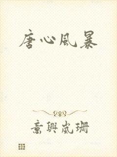 唐心风暴