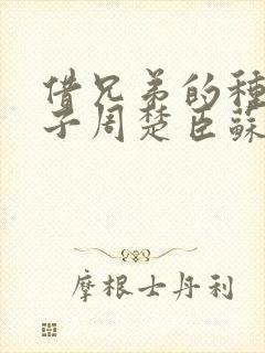 借兄弟的种生孩子周楚臣苏糖
