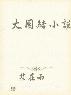 大团结小说全文封面