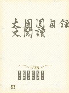 大团圆目录及全文阅读封面