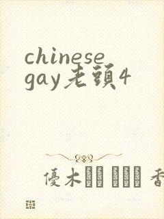 chinesegay老头4