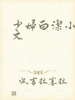 少妇白洁小说全文