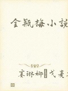 金瓶梅小说