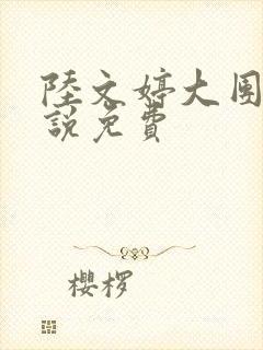 陆文婷大团圆小说免费