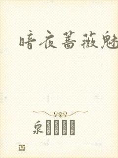 暗夜蔷薇魅封面