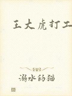 王大虎打工封面