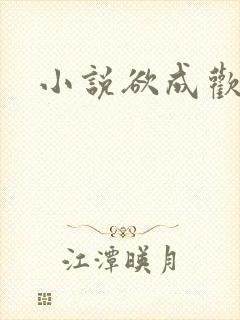 小说欲成欢