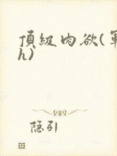 顶级肉欲(军高h)