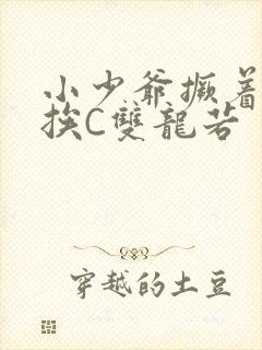 小少爷撅着屁股挨C双龙若封面