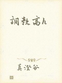 调教高h