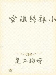 空姐丝袜小说