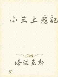 小三上瘾记