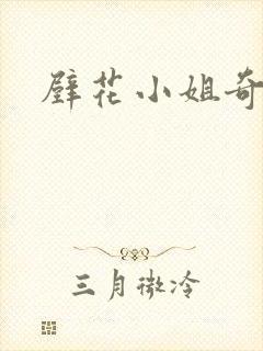 壁花小姐奇遇记封面