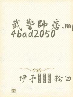 武警帅痞.mp4bad2050