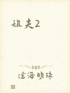 姐夫2