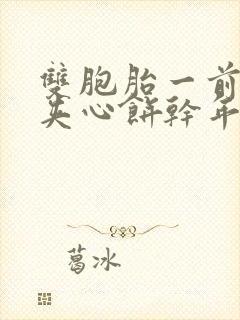 双胞胎一前一后夹心饼干年下