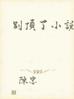 别顶了小说