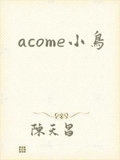 acome小鸟