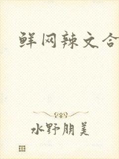 鲜网辣文合集