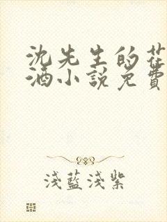 沈先生的花式调酒小说免费阅读