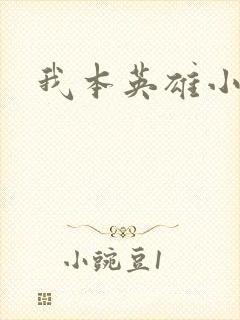 我本英雄小说