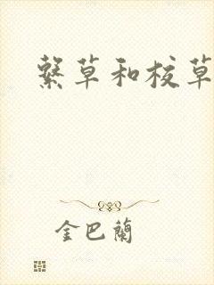 系草和校草封面