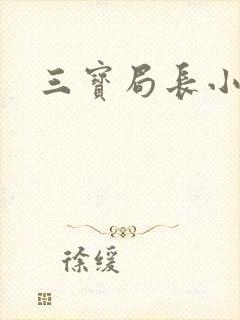 三宝局长小说