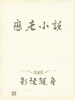 恋老小说封面