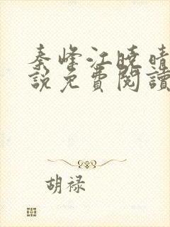 秦峰江晓晴的小说免费阅读封面