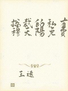 总裁的私有宝贝穆天阳免费
