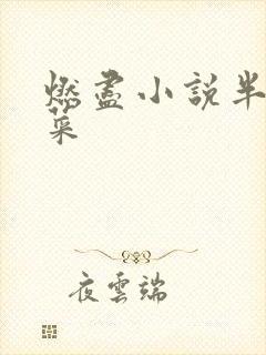 燃尽小说半截白菜封面