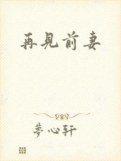 再见前妻