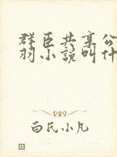 群臣共享公主银羽小说叫什么